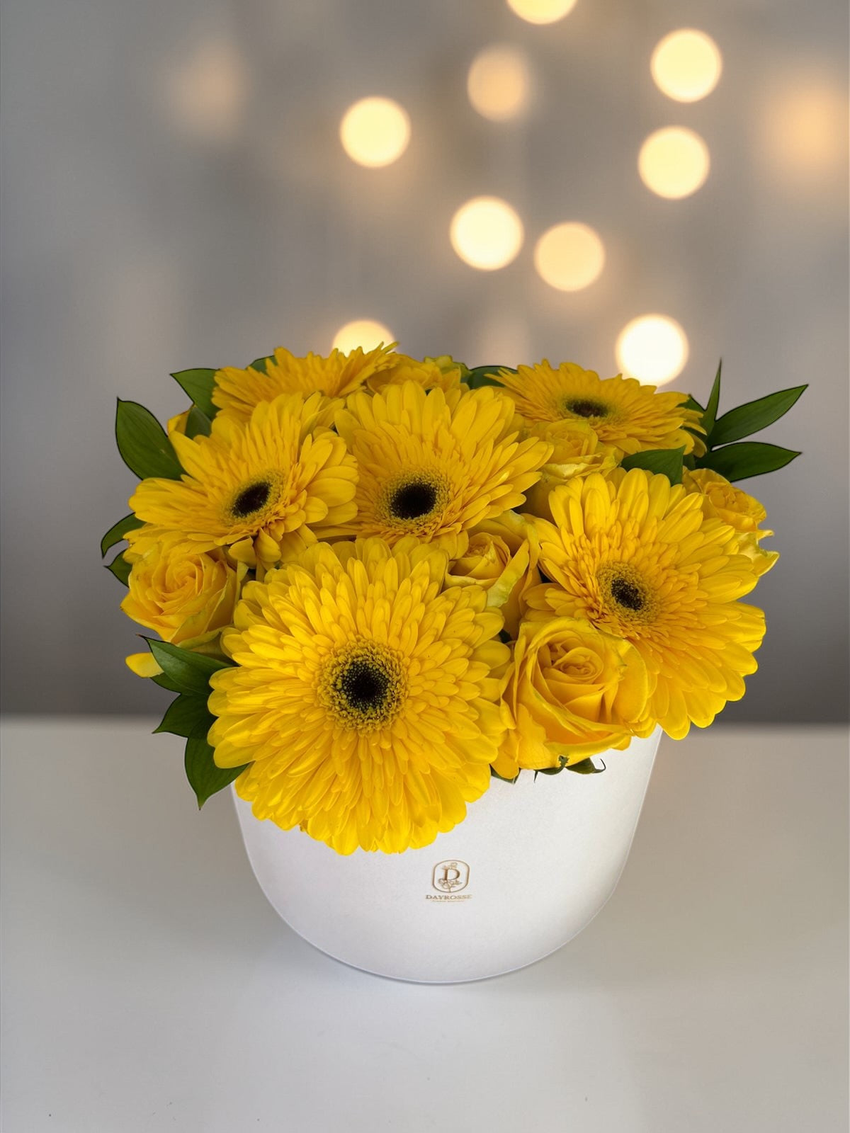 Box Primavera
