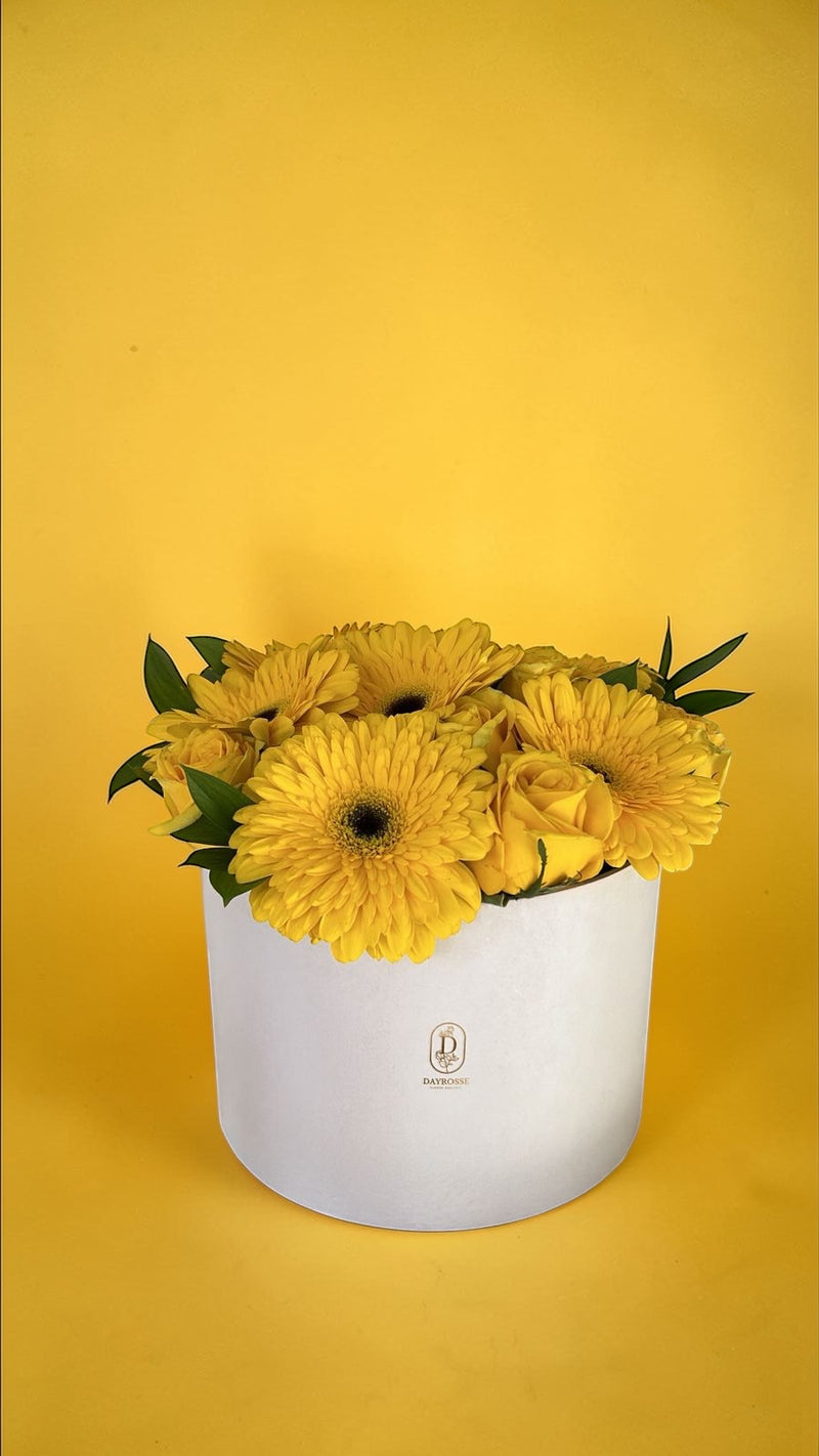 Box Primavera