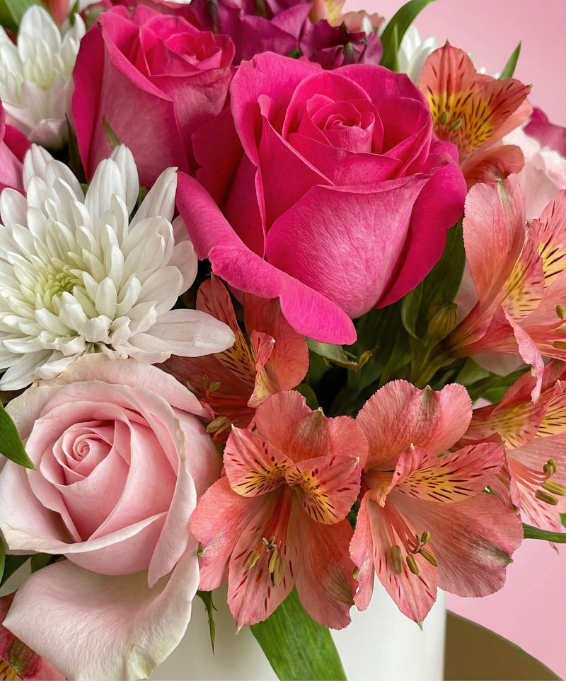 Box Astropink