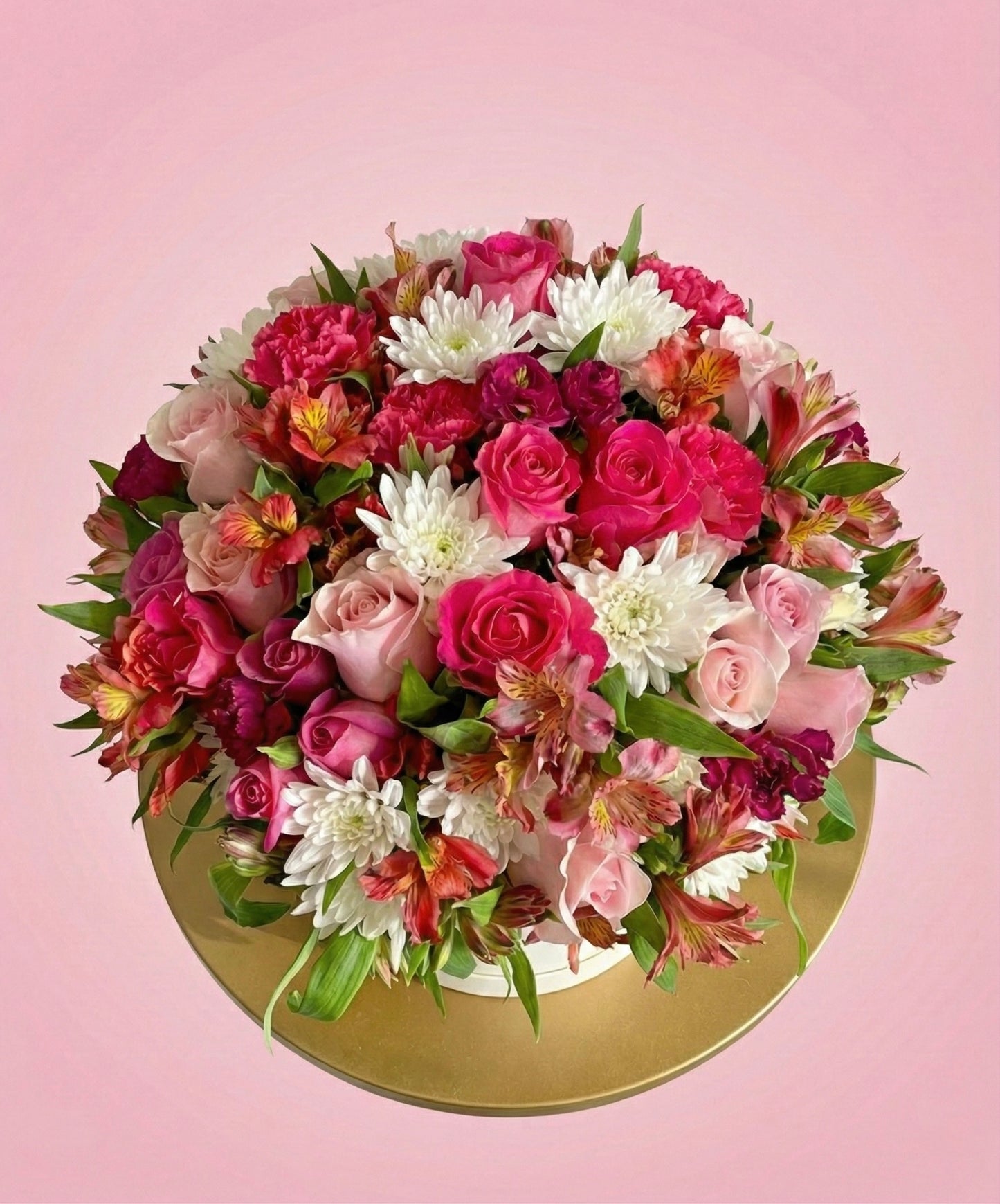 Box Astropink