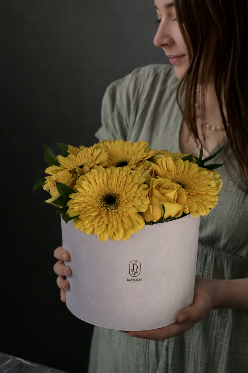 Box Primavera