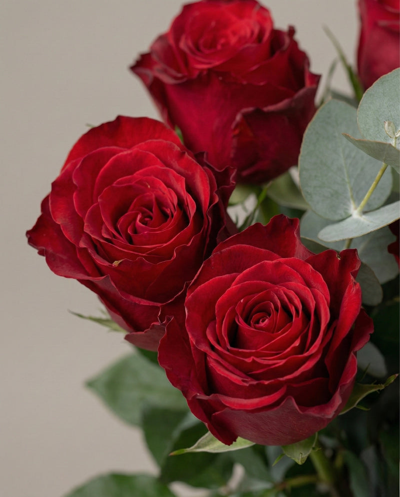 Ramo Rosas con Foliage de Eucalipto